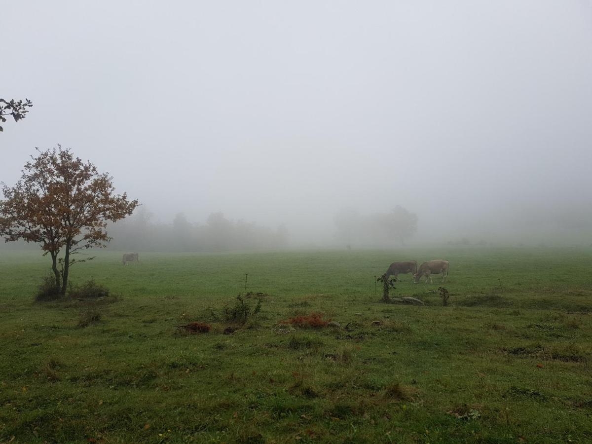 Santuari De La Salut De Sant Felíu de Pallarols Eksteriør bilde