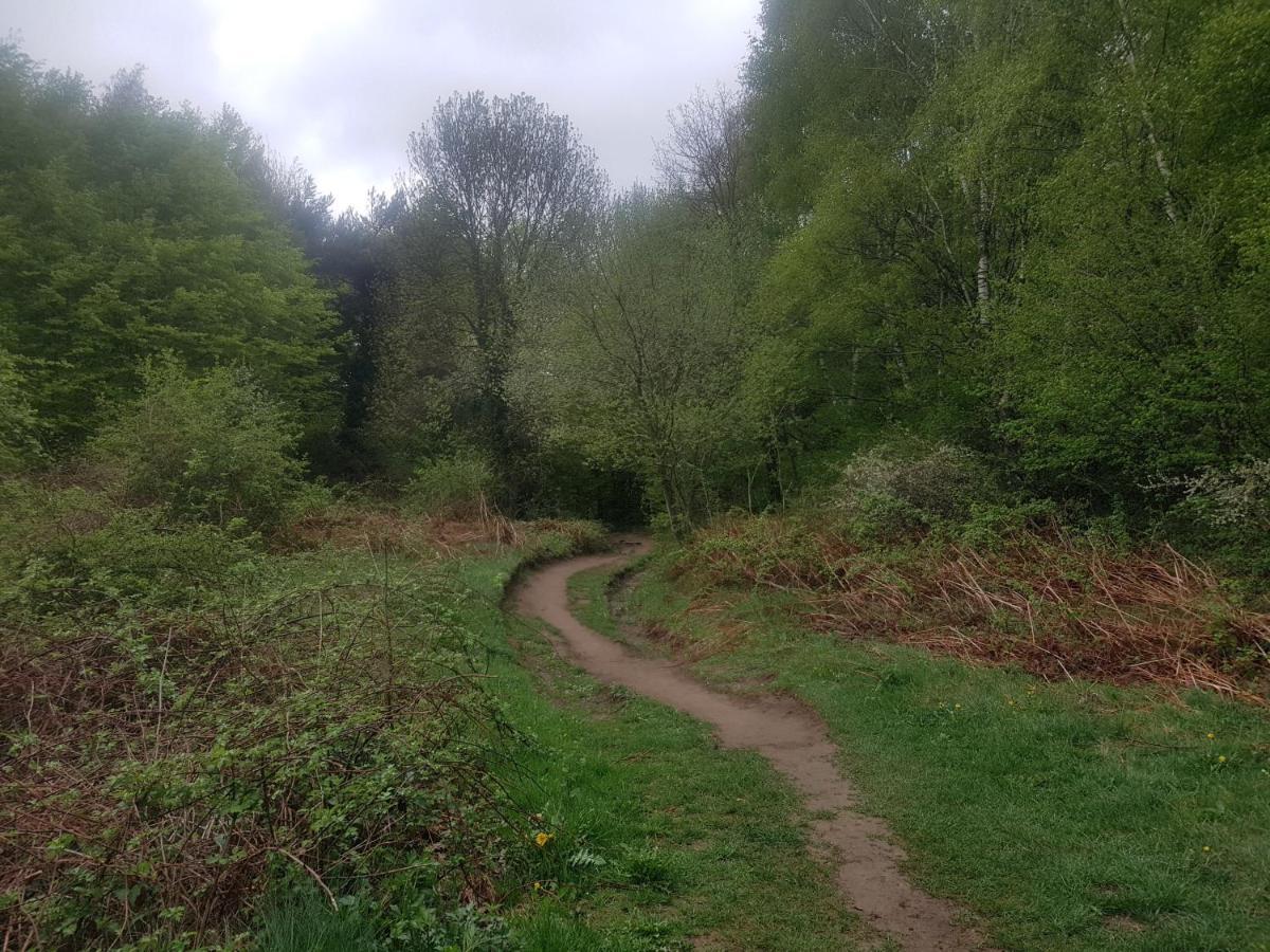 Santuari De La Salut De Sant Felíu de Pallarols Eksteriør bilde